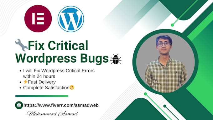 fix critical wordpress bugs with free revisions