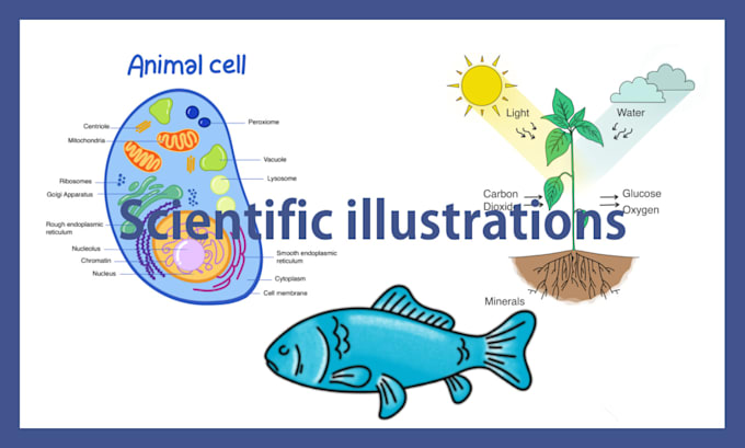 design science and biology diagrams and illustrations