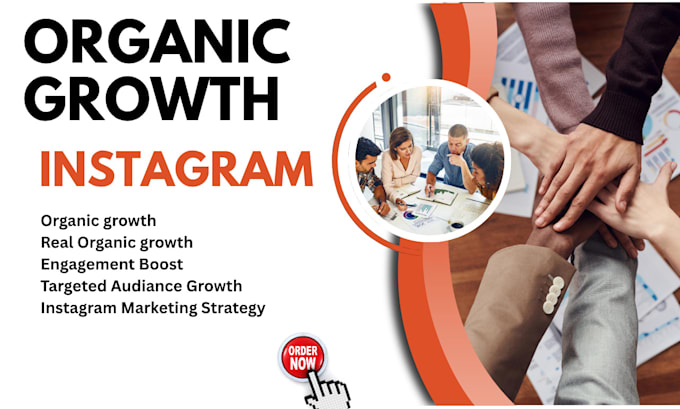 organically grow your instagram account
