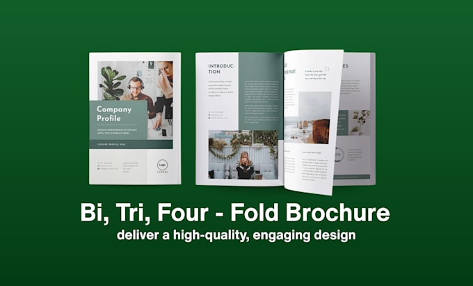 design business trifold, bifold brochure