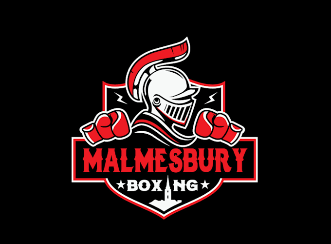 do custom fighting martial arts or boxing logo design