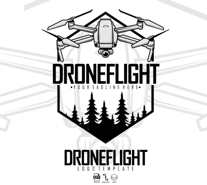 design professional drone logo