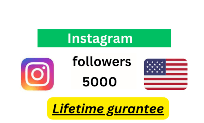 do premium quality american instagram page followers