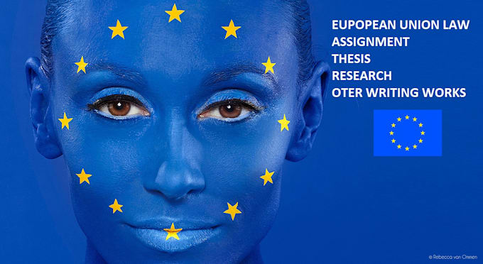 provide european union law writing services