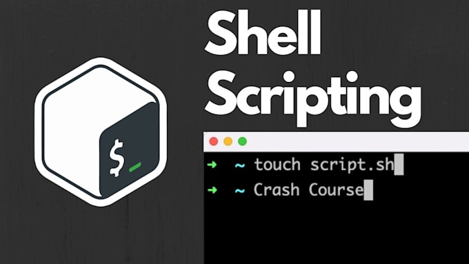write a bash shell script for linux, ubuntu, within 12 hours