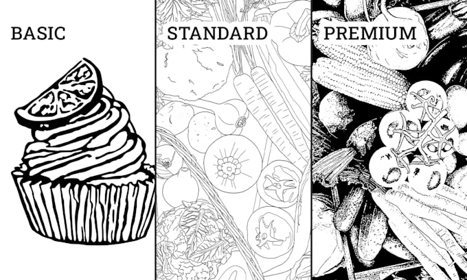 convert images to vectors and create vector sketches