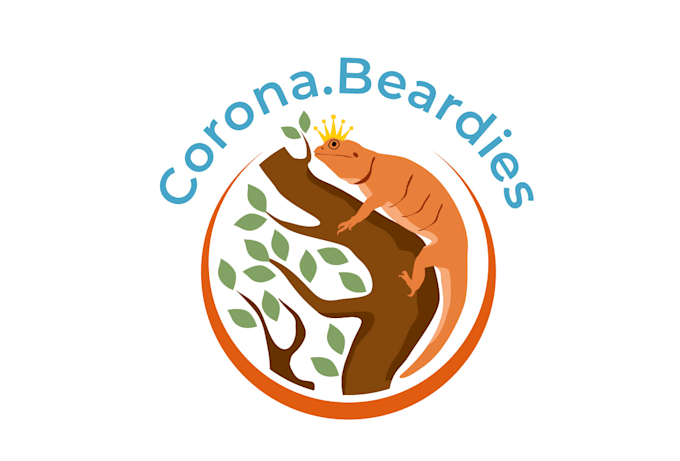 design execlusive modern bearded, dragon, breeder logo