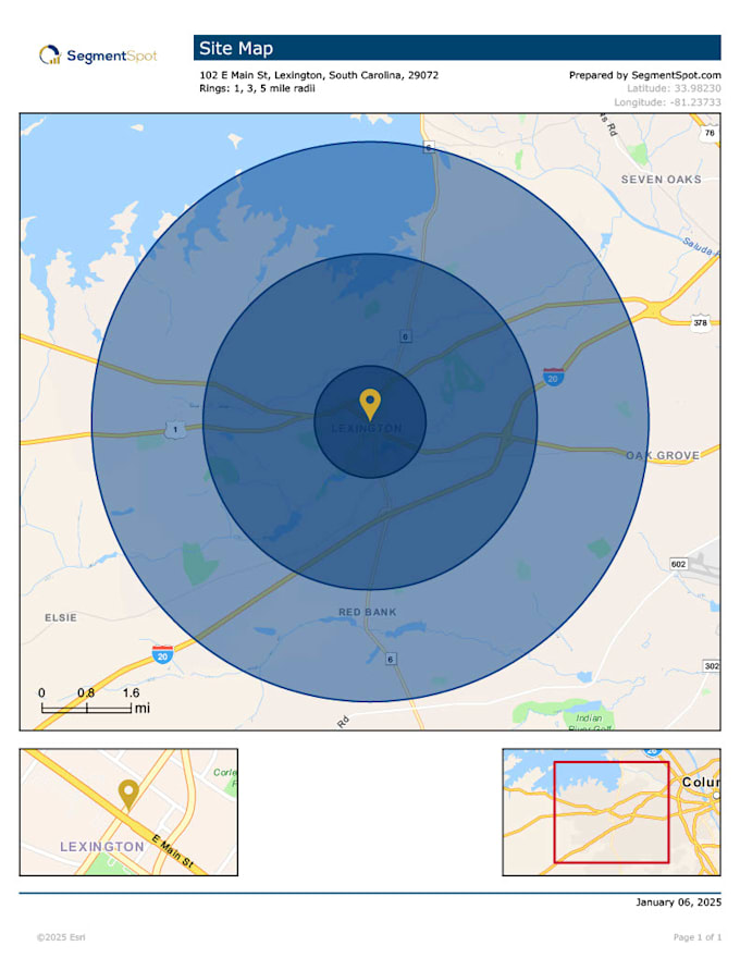 provide a detailed demographic report for your target market