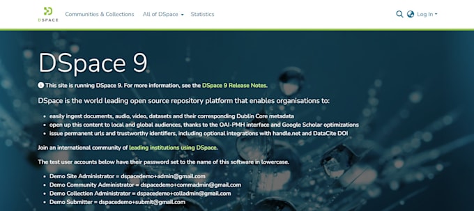 upgrade dspace with customization and migration services