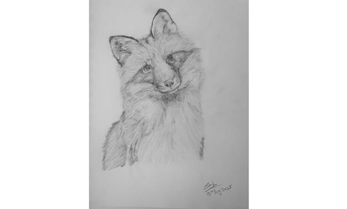 sketch your pet or any animal