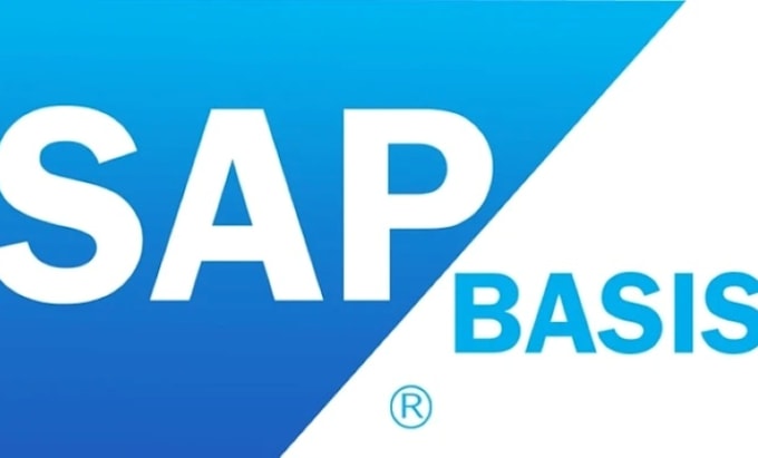 monitor sap performance, troubleshoot system issues, and apply fix
