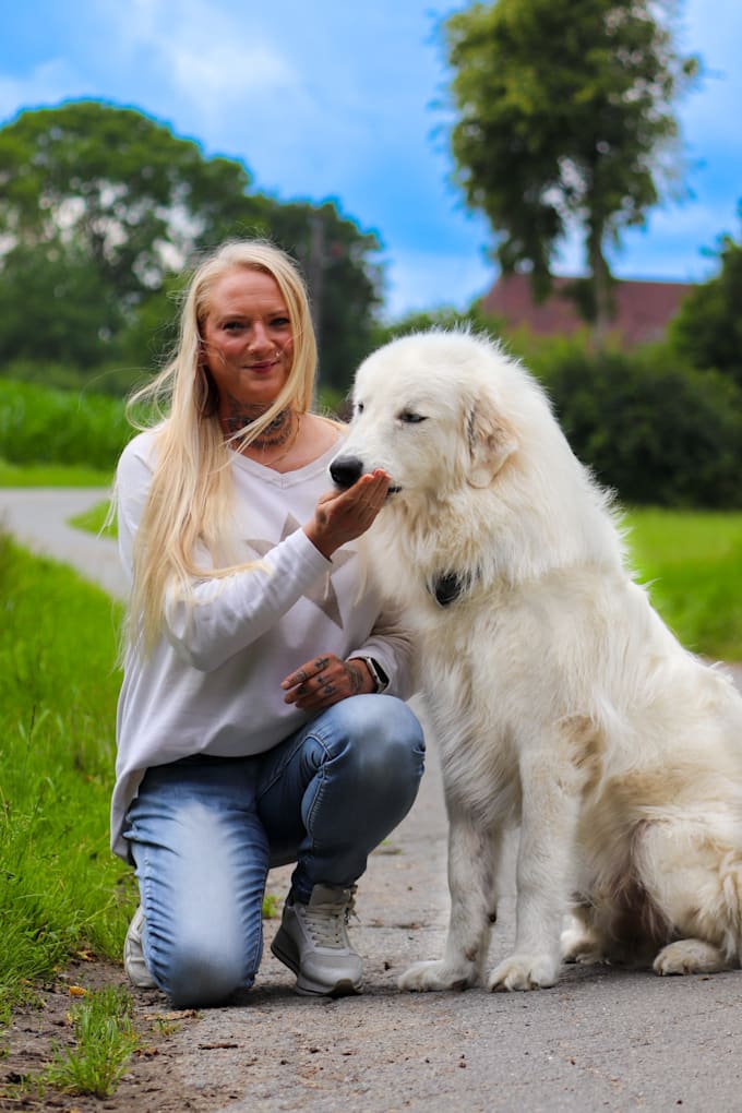 create ugc videos for your dog products or pet brand