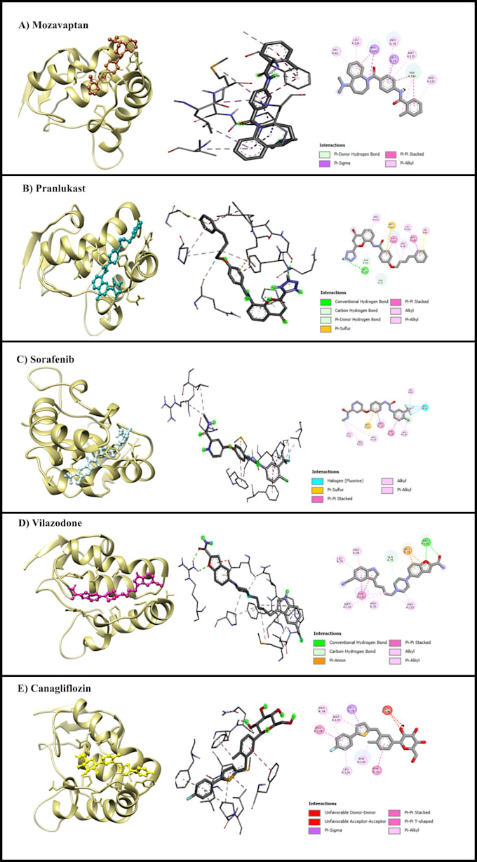 do network pharmacology, molecular docking and simulation