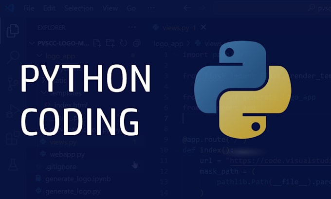 install python script or modules, customization