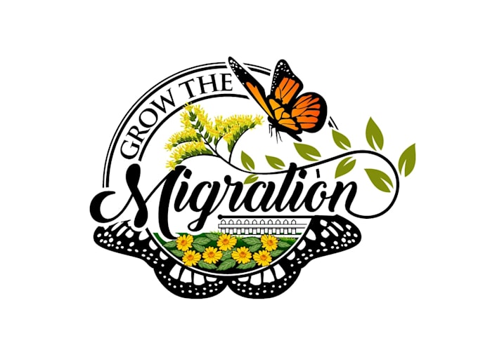 create high quality and beautiful butterfly logo design