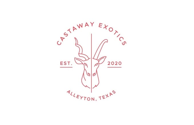 design unique castaway exotics logo