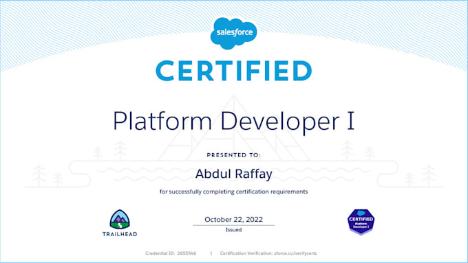 be your expert salesforce developer for apex, lwc automation
