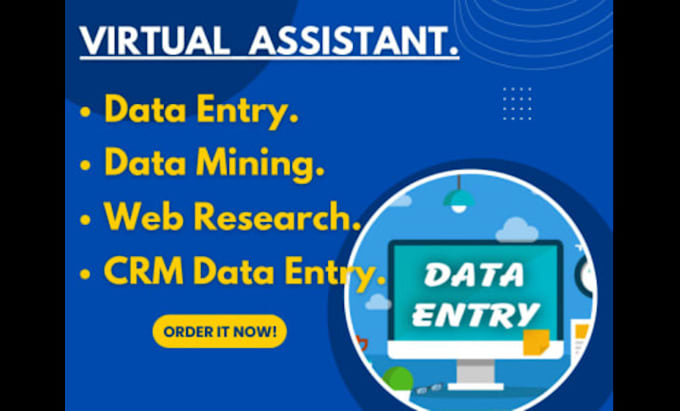 do excel data entry copy paste and web research