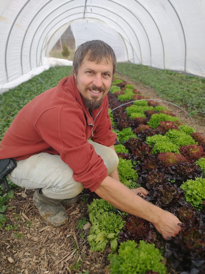 help you design and plan your vegetable garden