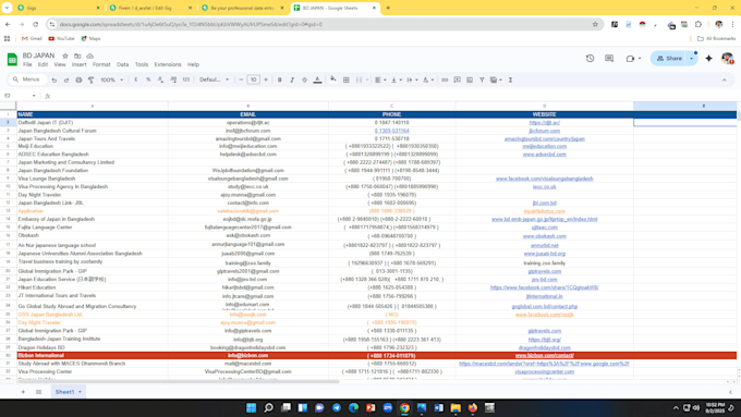 be your professional data entry operator and assistant