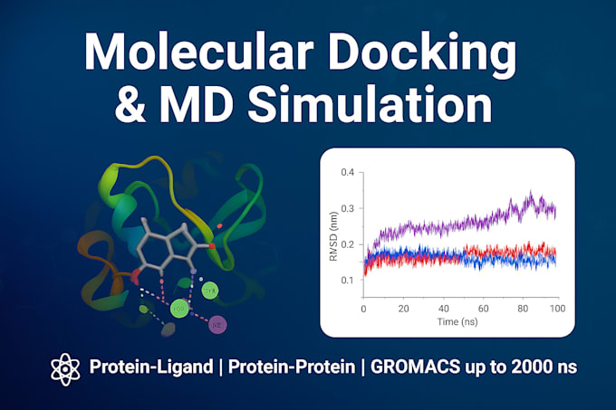 do molecular docking, MD simulation with complete writeup