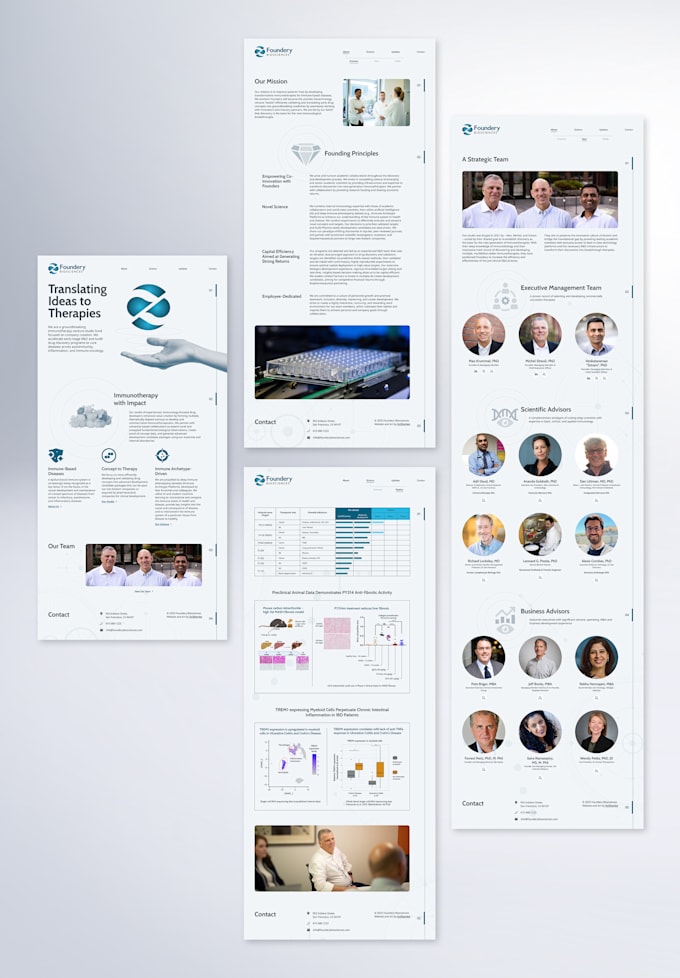 design your website from wireframe to live launch