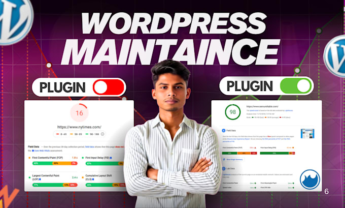 fix core web vitals and monthly wordpress website maintenance