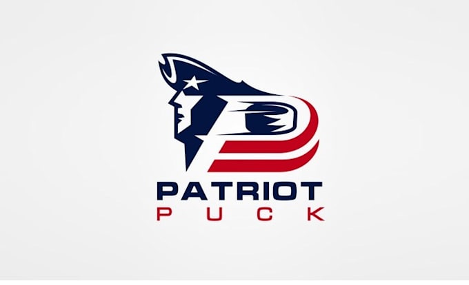 design innovative unique patriot puck logo