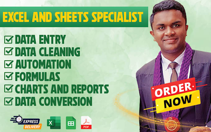 be your excel and google sheets specialist for data management and formatting
