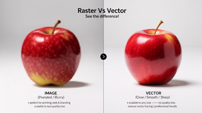 do high quality image and logo vector tracing professionally