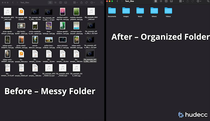 create a python file organizer to sort and clean your files