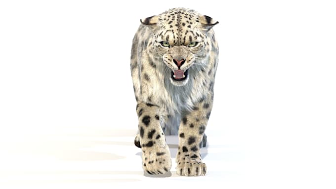 do any 3d animal model, character animation creature xgen hair 3d dragon vfx fur