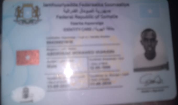 professional somali to english translator