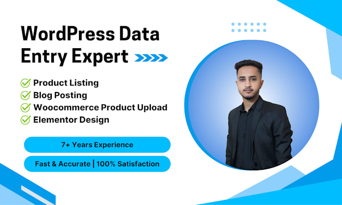 do professional wordpress data entry