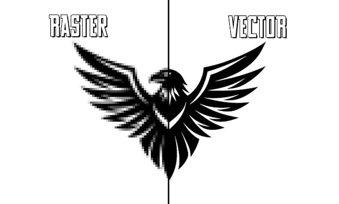 do vector tracing, logo redraw, and image to vector conversion