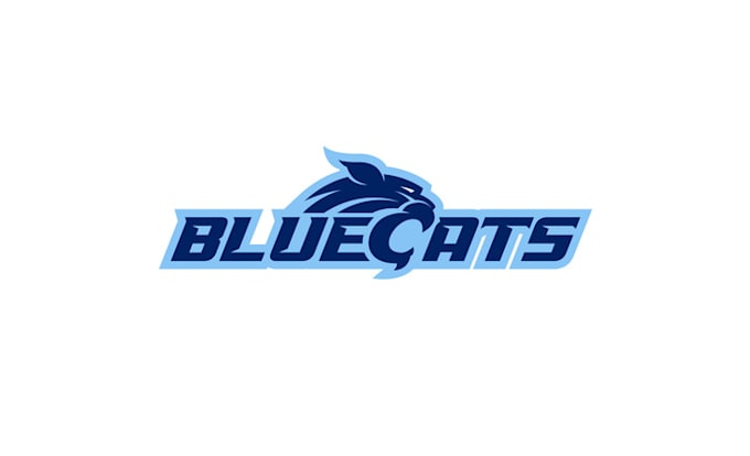 design beautiful youth baseball team logo