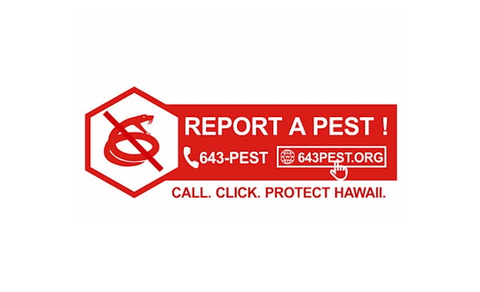 design dynamic species reporting pest logo