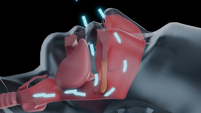 do 3d medical animation and medical explainer video
