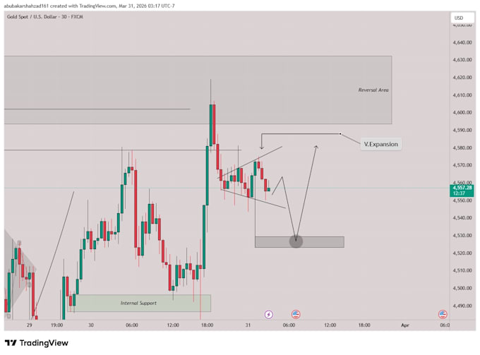 provide professional forex and crypto analysis