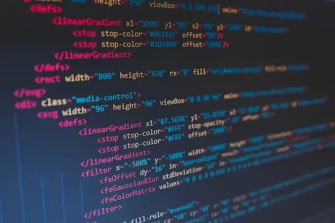 build fully custom websites tailored to your needs