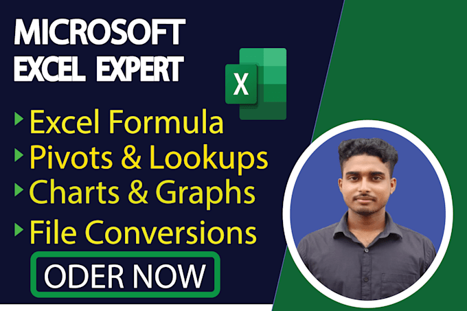 do excel data entry and dashboard expert