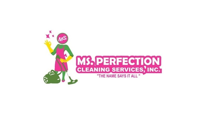 design world class perfection cleaning services logo