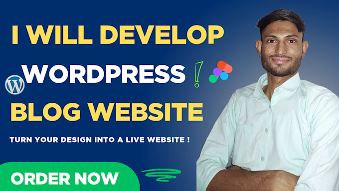 develop wordpress blog websites professionally