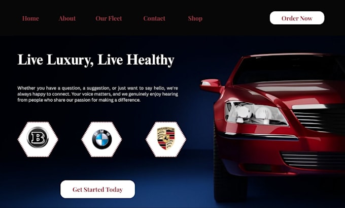build a premium, luxury and modern wordpress website, do luxury wordpress