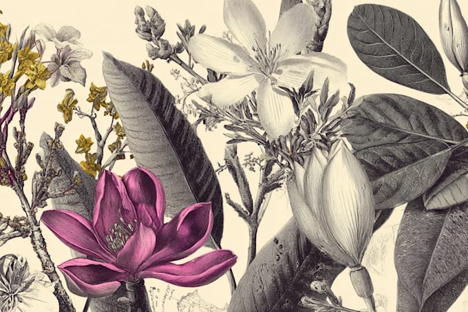 make a beautiful vintage botanical illustration