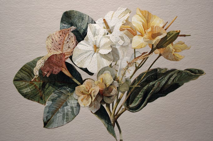 illustrate best botanical illustration