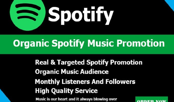 do professional spotify music promotion