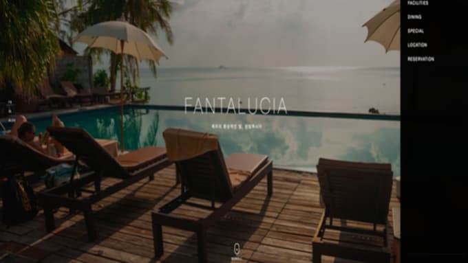 build a professional and responsive website