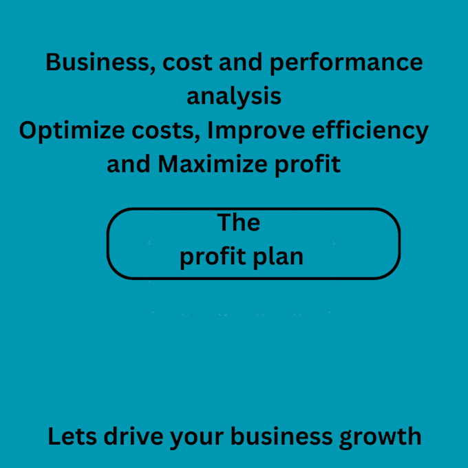 do expert business, cost and performance analysis to drive growth