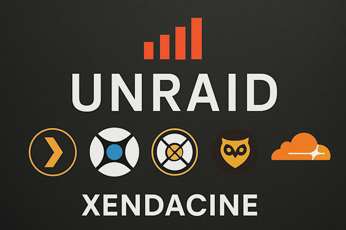 set up unraid, plex, sonarr, radarr, for all your needs